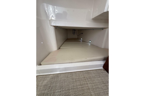 BABY SEAL 36ft Everglades Yacht For Sale