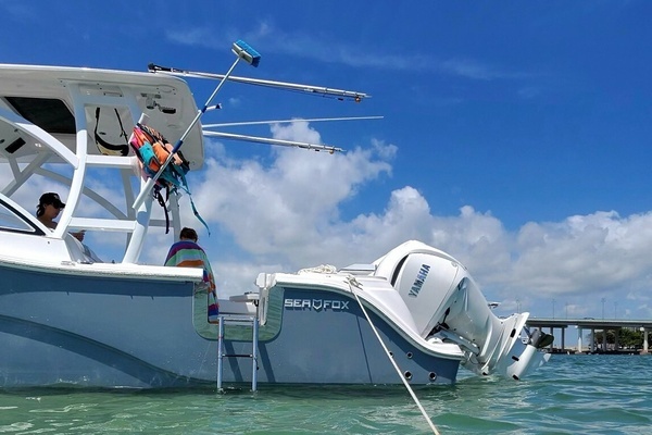 2025 Sea Fox 28