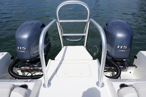 2024 23 World Cat 230 DC Engine Well