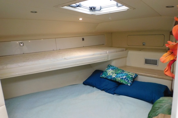 Top Dog 46ft Sea Ray Yacht For Sale