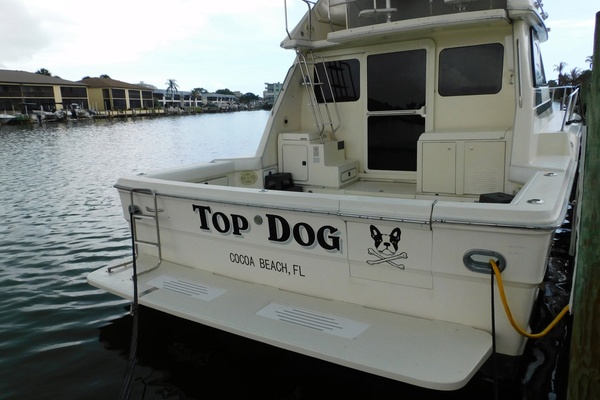 Top Dog 46ft Sea Ray Yacht For Sale