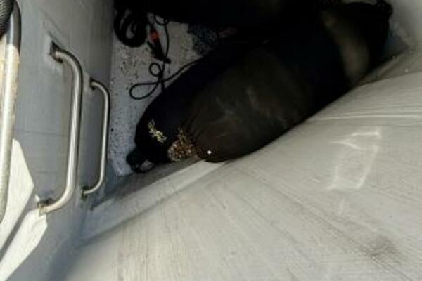 Best Day Ever 58ft Sirena Yacht For Sale