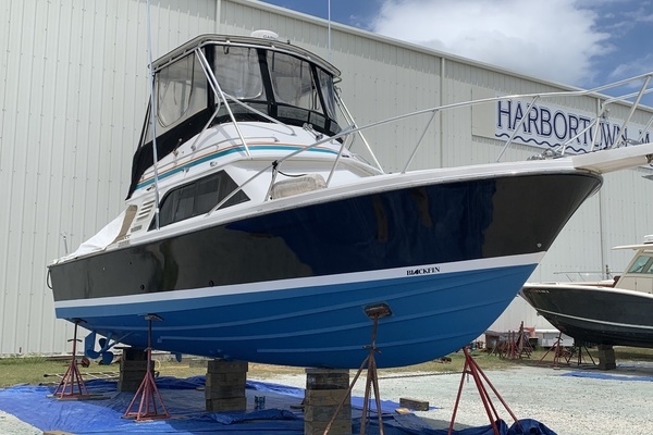 Photo of the 1991 Blackfin 
