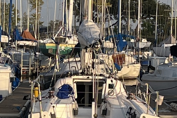 Photo of the 2024 Beneteau  "Kedi"