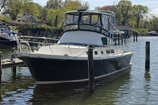Green Eyed Lady 34ft Albin Yacht For Sale