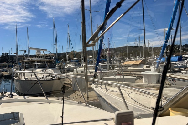 Lucky Me 31ft Shamrock Yacht For Sale