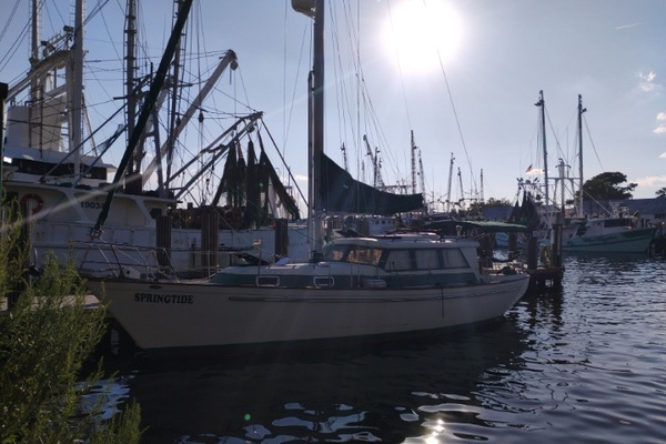 Photo of the 1980 Pearson  "Springtide"