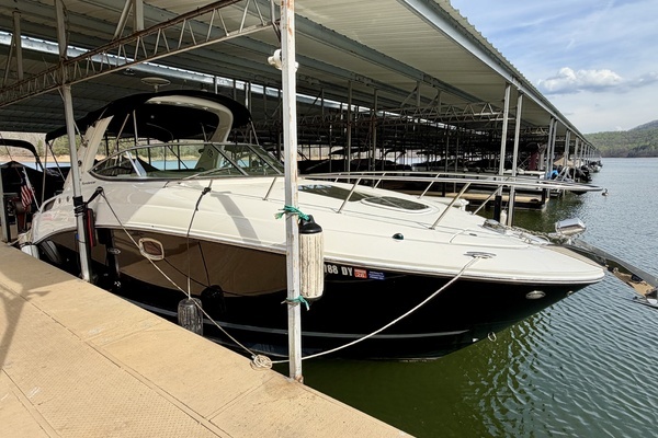 Photo of the 2009 Sea Ray 270 Sundancer