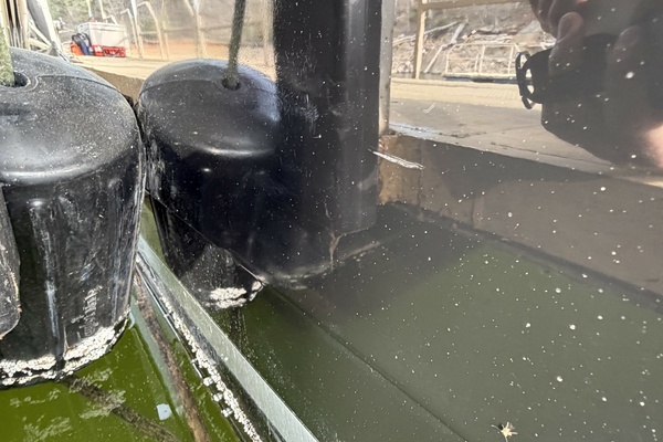 28ft Sea Ray Yacht For Sale