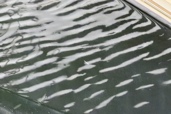 28ft Sea Ray Yacht For Sale