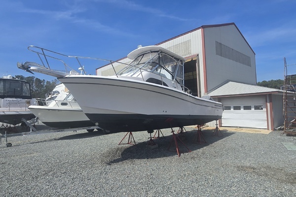 Photo of the 2002 Grady-White Sailfish 282 "Lady Anne"