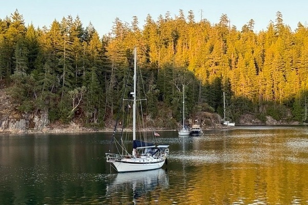 AVALON 38ft Cabo Rico Yacht For Sale