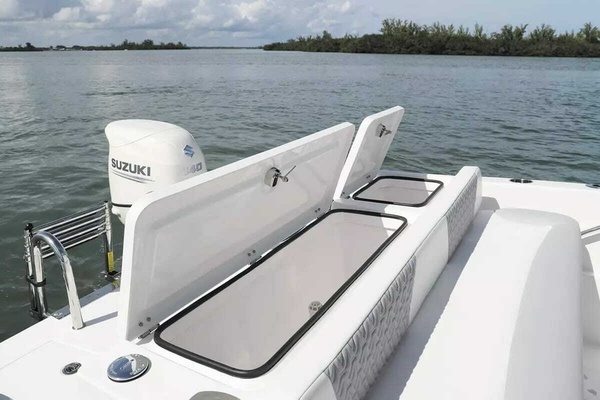 Photo of the 2026 Twin Vee 240 GFX DC