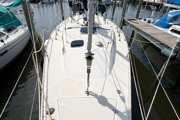 EARLY OUT 40ft Caliber Yacht For Sale