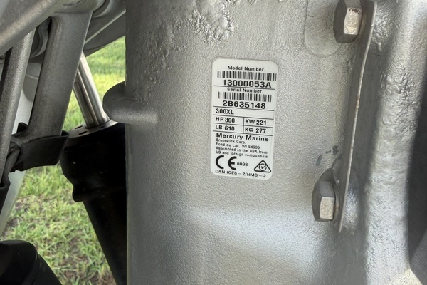 Photo of the 2019 Reef Runner 230XS