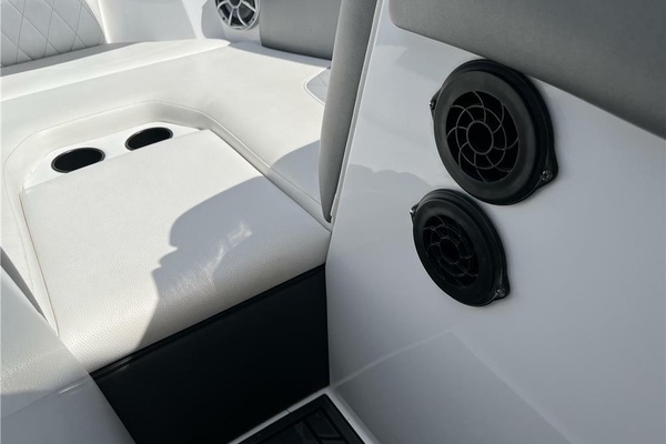 Photo of the 2016 Tige R20