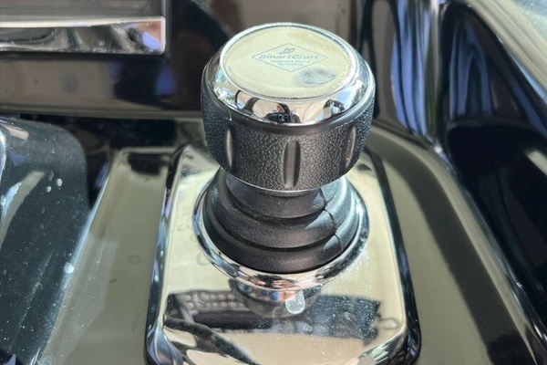 Photo of the 2016 Scout  "ZOOROPA"