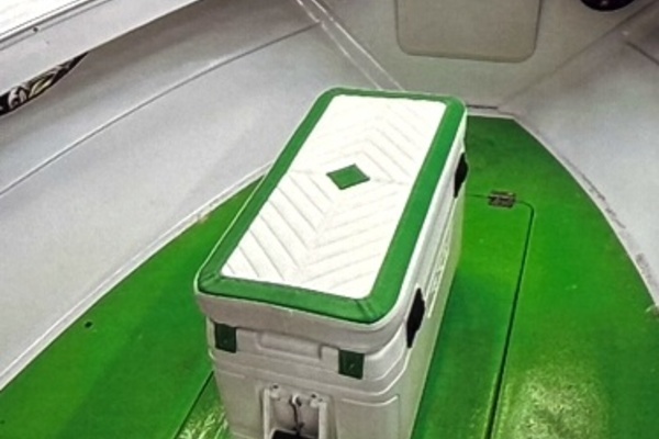 Photo of the 1985 Other 