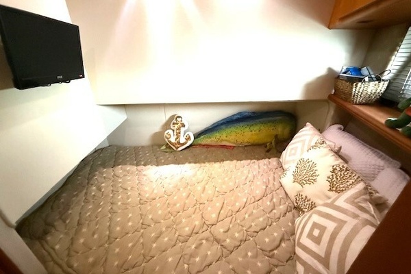 Four Reel 42ft Silverton Yacht For Sale