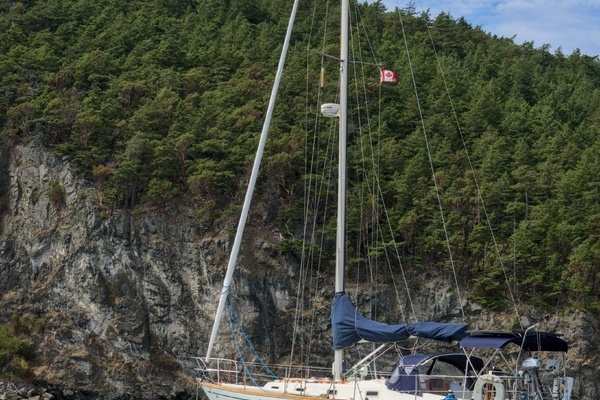 37-ft-Tartan-1980-37-Tourmaline Seattle Washington United States  yacht for sale