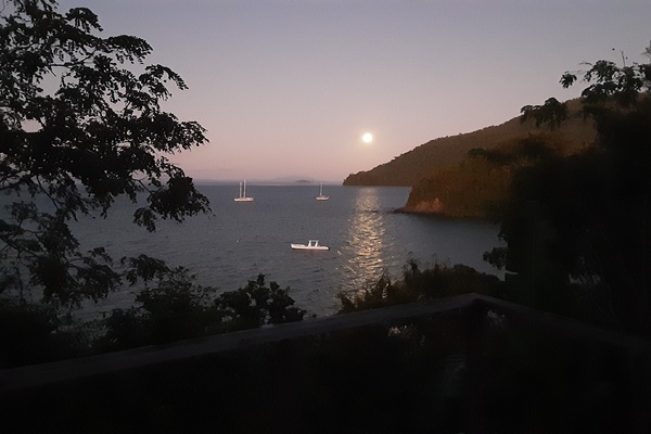 50ft Custom Yacht For Sale