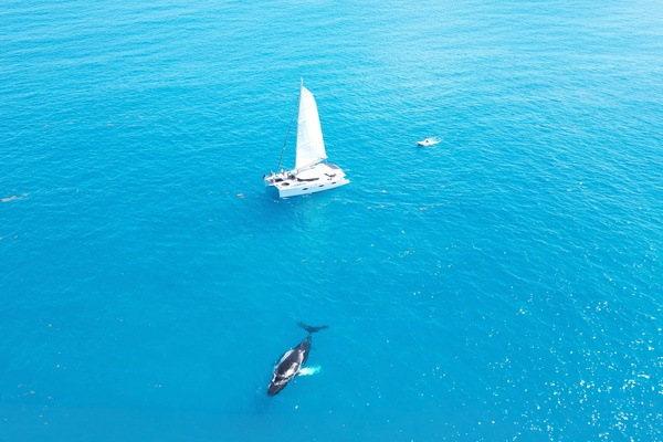 Perpetual Blue 59ft Fountaine Pajot Yacht For Sale