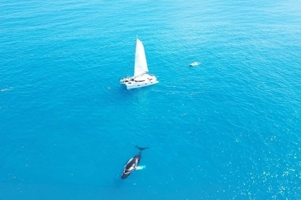 Perpetual Blue 57ft Fountaine Pajot Yacht For Sale