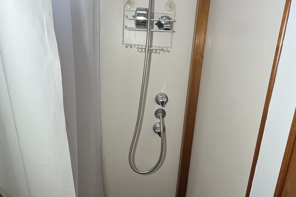 Forward Shower