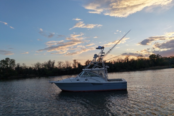 Old Fashioned 33ft Pursuit Yacht For Sale