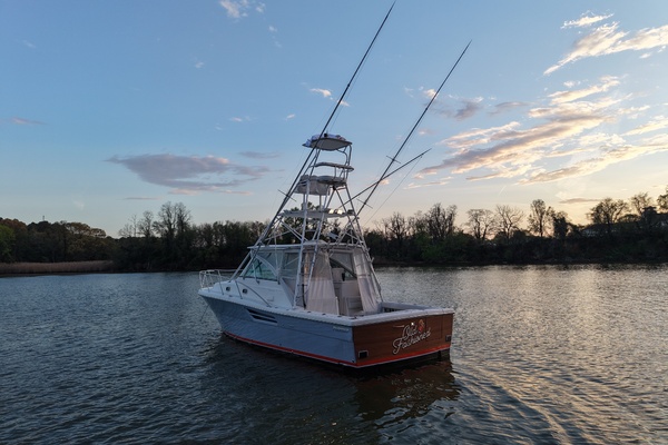 Old Fashioned 33ft Pursuit Yacht For Sale