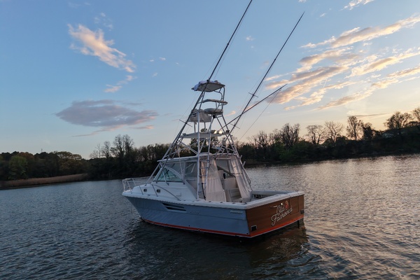 Old Fashioned 33ft Pursuit Yacht For Sale