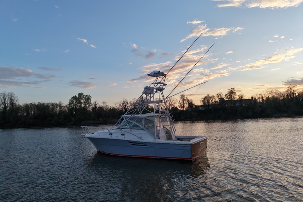 Old Fashioned 33ft Pursuit Yacht For Sale