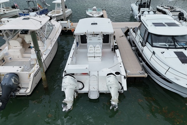 Photo of the 2011 Twin Vee Weekender