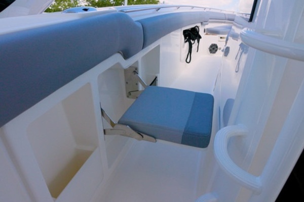 Photo of the 2018 Boston Whaler Outrage
