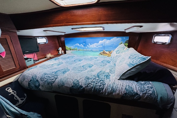 Alaya 41ft Irwin Yacht For Sale