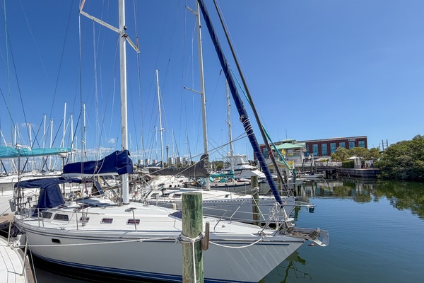 Jolly Mon  42ft Catalina Yacht For Sale