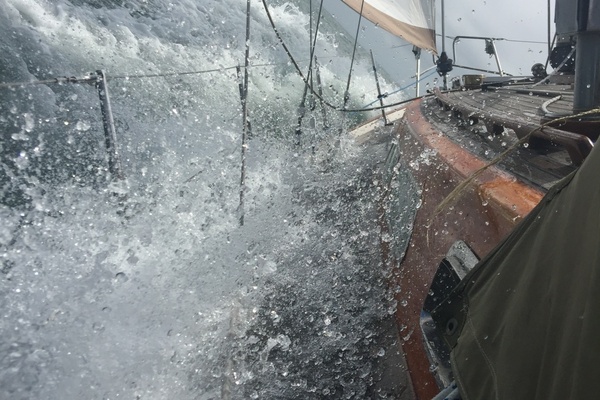 CARPE DIEM 33ft Vindo Yacht For Sale