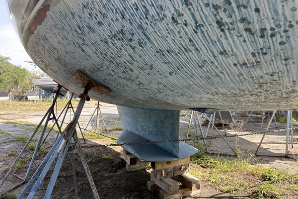 SEA DRAGON 42ft Catalina Yacht For Sale