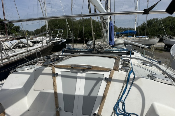 SEA DRAGON 42ft Catalina Yacht For Sale