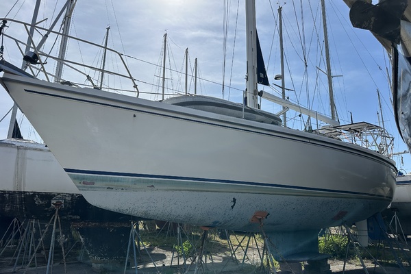 SEA DRAGON 42ft Catalina Yacht For Sale
