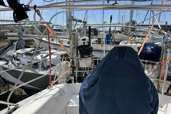 SEA DRAGON 42ft Catalina Yacht For Sale