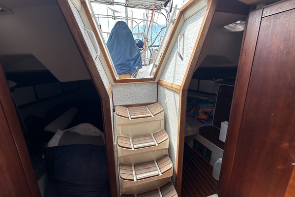 SEA DRAGON 42ft Catalina Yacht For Sale