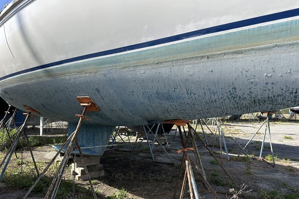 SEA DRAGON 42ft Catalina Yacht For Sale