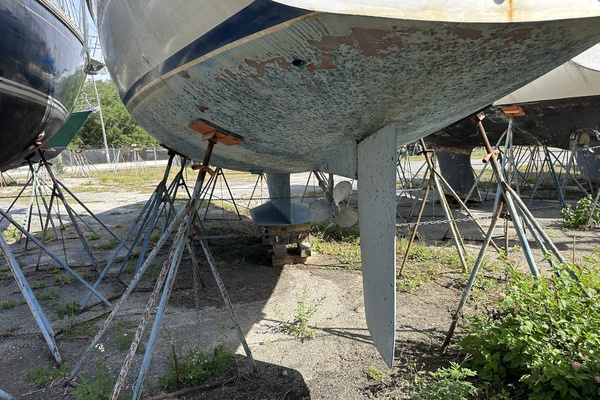 SEA DRAGON 42ft Catalina Yacht For Sale