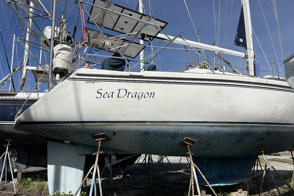 SEA DRAGON 42ft Catalina Yacht For Sale