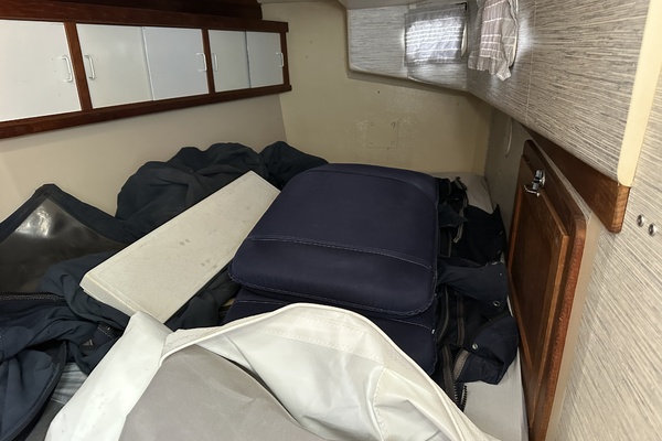 SEA DRAGON 42ft Catalina Yacht For Sale