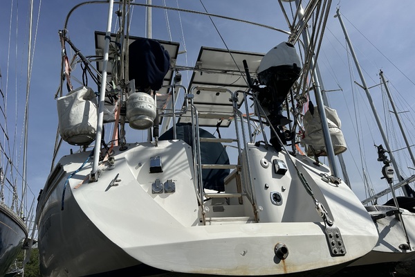 SEA DRAGON 42ft Catalina Yacht For Sale