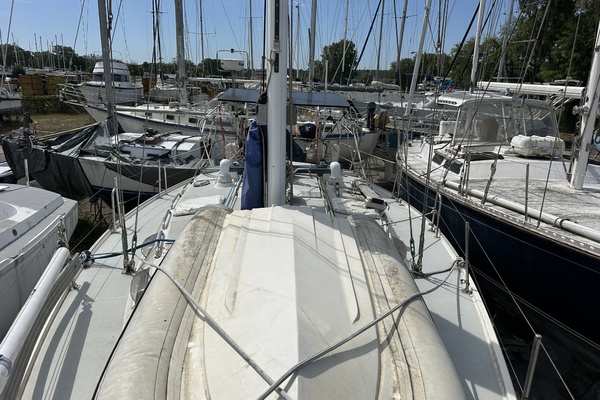 SEA DRAGON 42ft Catalina Yacht For Sale