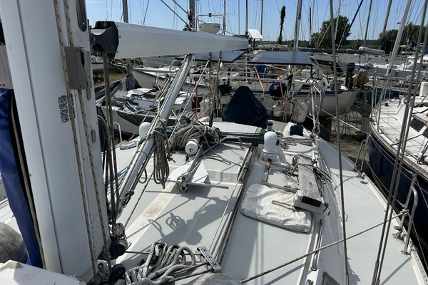 SEA DRAGON 42ft Catalina Yacht For Sale