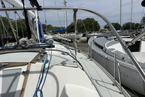 SEA DRAGON 42ft Catalina Yacht For Sale